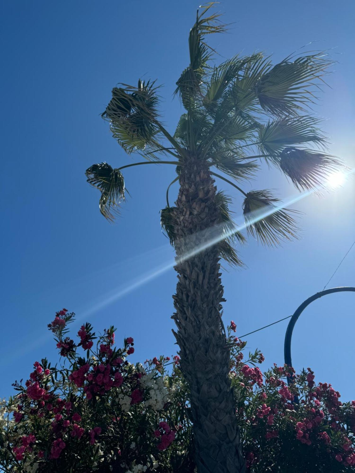Seaside Serenity Appartement Torrevieja